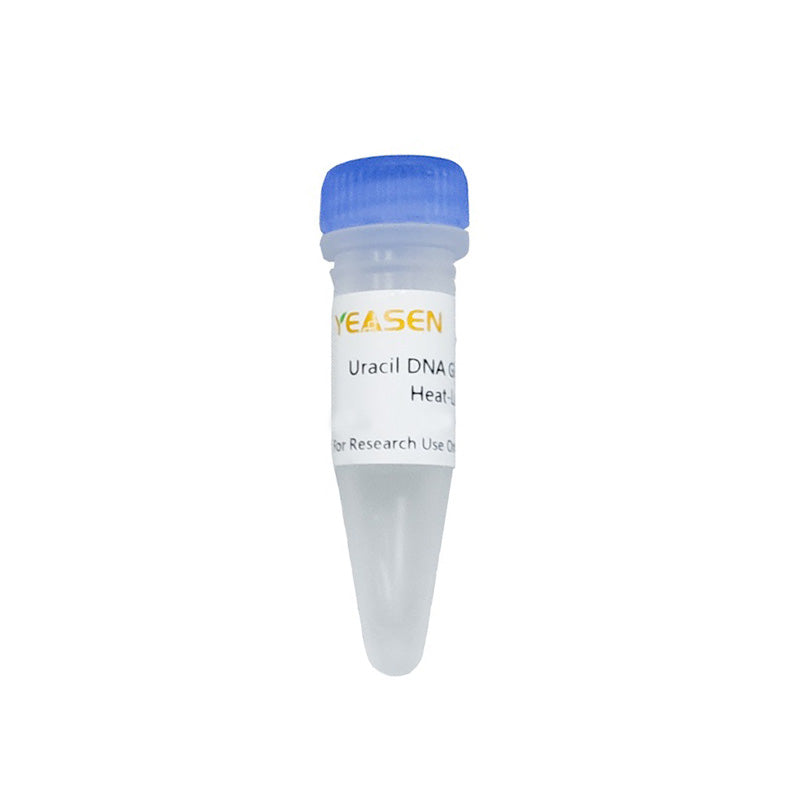 Uracil DNA Glycosylase (UDG), Heat-Labile (Glycerol-Free)  (1 U/μL) -10707ES