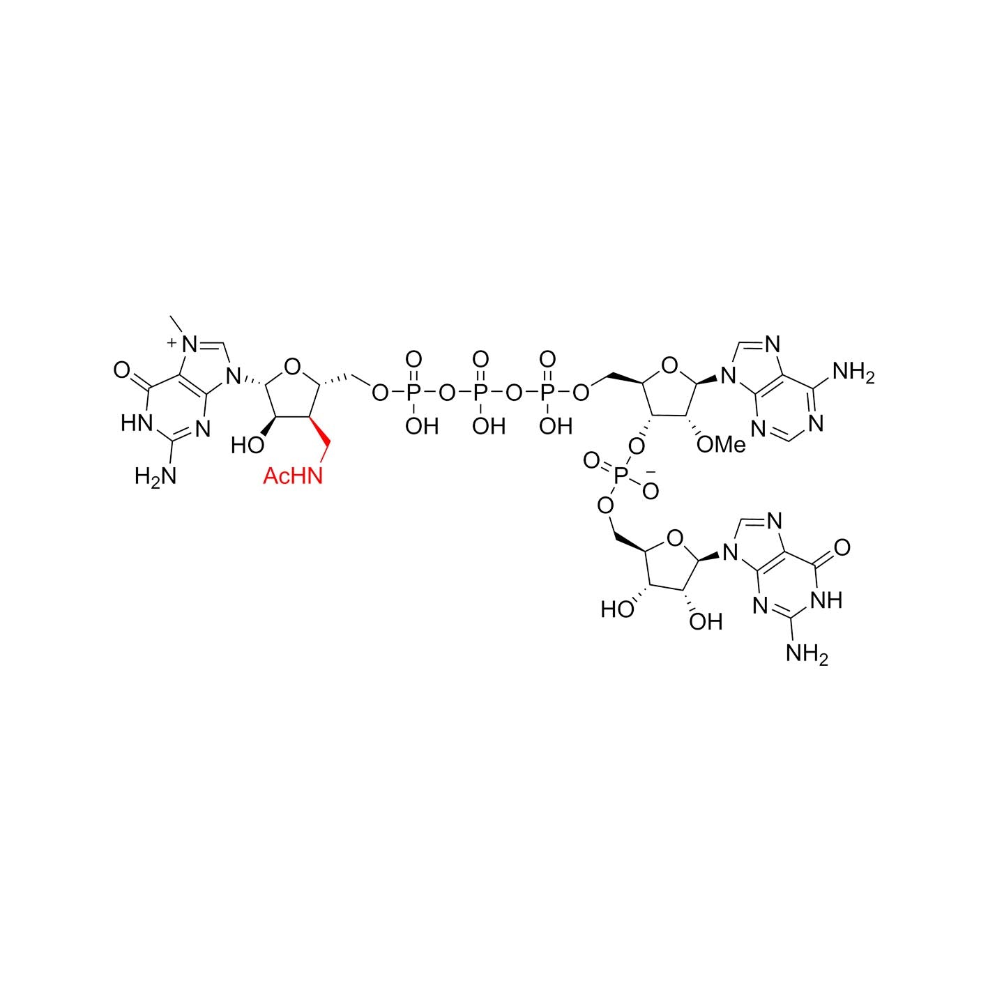 LZCap AG (3'Acm) GMP-Grade, High Affinity (100mM) _10684ES