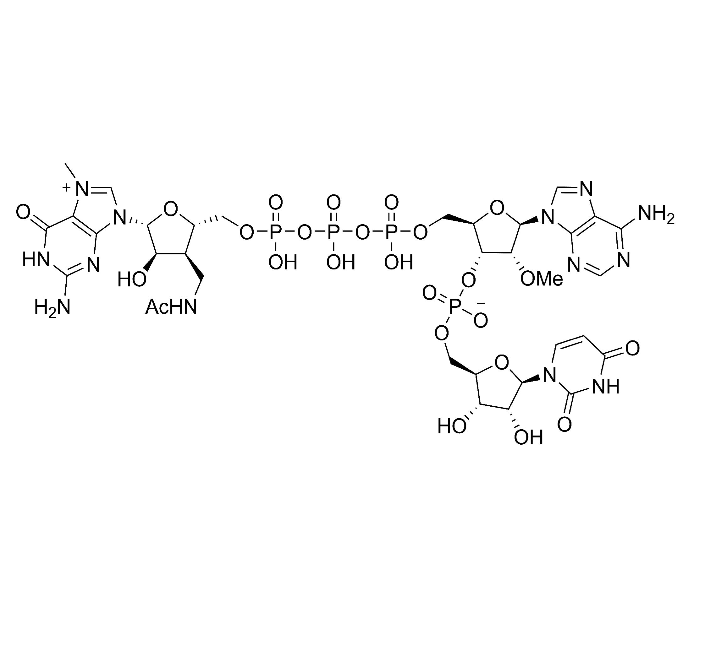 LZCap AU (3'Acm), High Affinity (100mM) _ HN3005